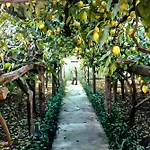 Limoneto Di Anna 度假居 马奥莱